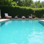 Piscines naturalistes : l'alliance parfaite entre écologie et esthétique pour remplacer les bassins classiques
